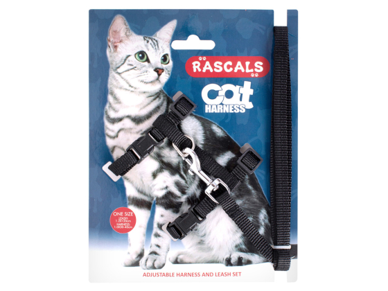 ARNES_C/CORREA_P/GATO_NEGRO_PRE112_1 | ARNES_C/CORREA_P/GATO_NEGRO
