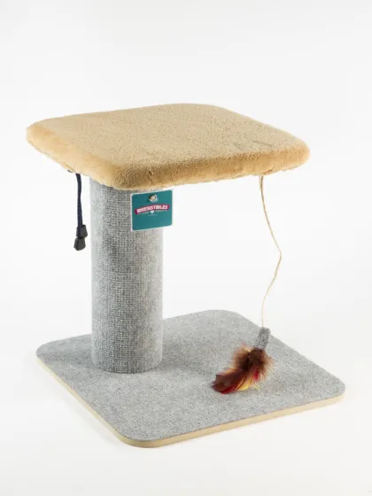 CAT PRO 1 (35cm)*