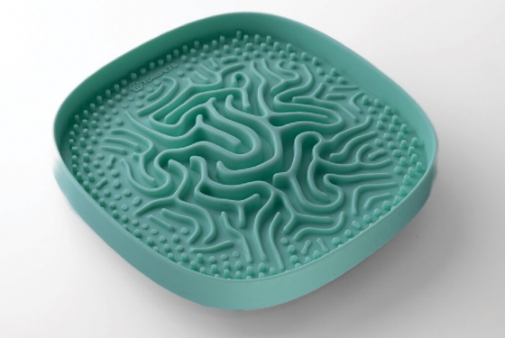 TONIPETS_LICKI_MAZE_034027_1 | TONIPETS_LICKI_MAZE