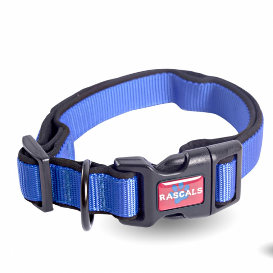 COLLAR_PERRO_PREM._M_AZUL_COLL107M_2