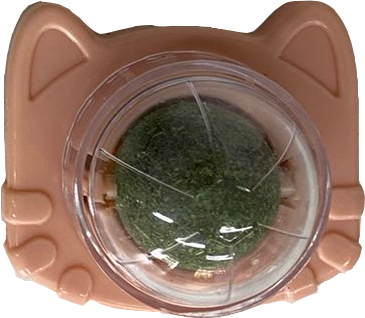 HIERBA_GATERA_GATO/HUELLA_037563_2