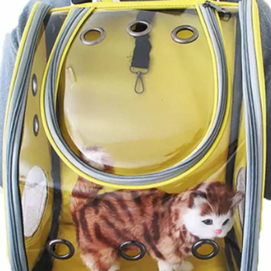 MOCHILA_TRANSPARENTE_035215_1