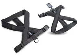 ARNES PREMIUM XS/S NEGRO