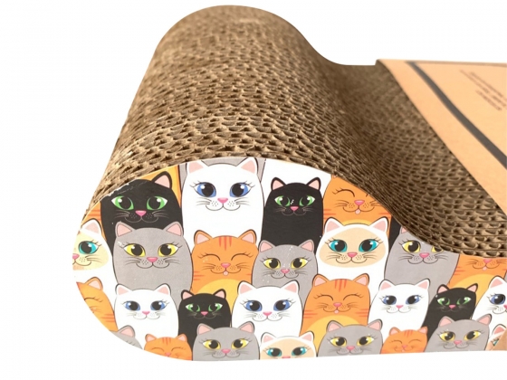 RASC._AMI_JAGGER_ESTAMPADO_039001_3