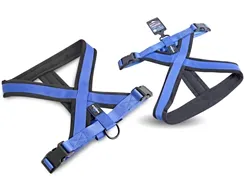 ARNES PREMIUM XS/S AZUL