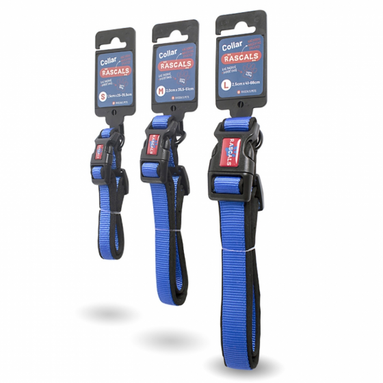 COLLAR_PERRO_PREM._L_AZUL_COLL107L_1