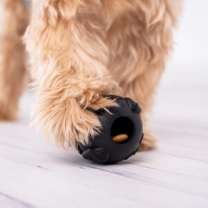 TONIPETS_GLOTONI_PELOTA_EXTREME_034015_6 | TONIPETS_GLOTONI_PELOTA_EXTREME
