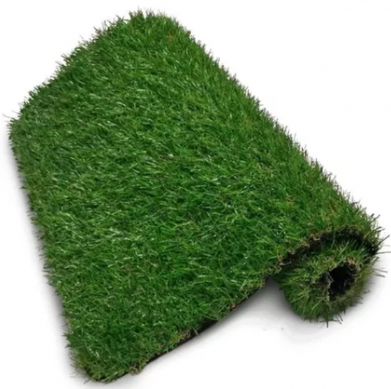 TONIPETS_REP._PASTO_GRANDE_034008_3