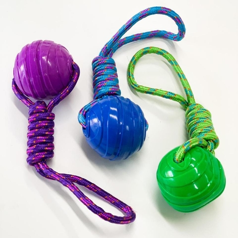 PELOTA_CON_SOGA_035066_1