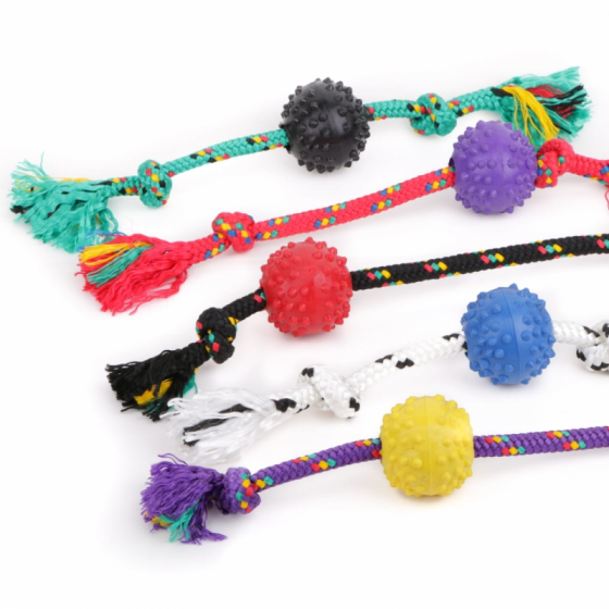 PELOTA_PUAS/SOGA_GDE_S1602_1